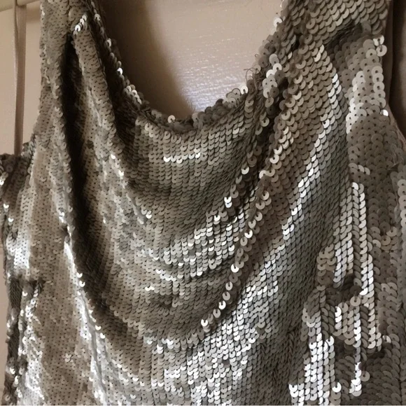 Parker Champagne sequin dress - Picture 3 of 6